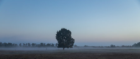 Misty rural landscape at sunrise in Andalusia, Spain.の写真素材