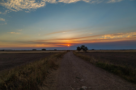 Sunset and cereal farmland. Tierra Estella. Navarre, Spain, Europe.の写真素材