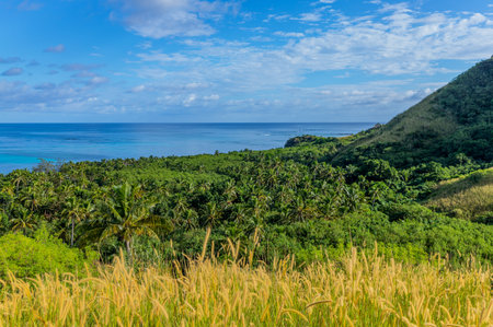 Top view of Nacula island, Yasawa island group, Fiji, South Pacific islands,の写真素材