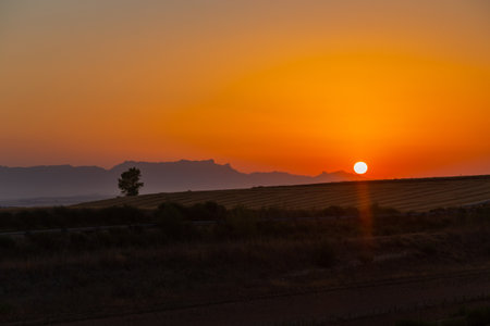 Sunset and cereal farmland. Tierra Estella. Navarre, Spain, Europe.の写真素材