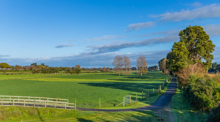 Rural landscape in Wellington, on the North Island of New Zealandの写真素材