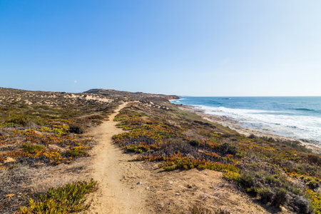 Coast of Alentejo near Sines, Portugalの写真素材