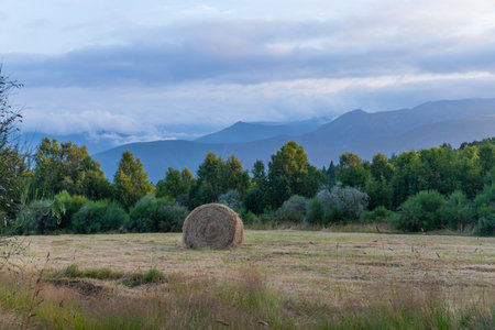 Landscape along the Camino de Santiago trail between Grandas de Salime and Fonsagrada, Asturias,...