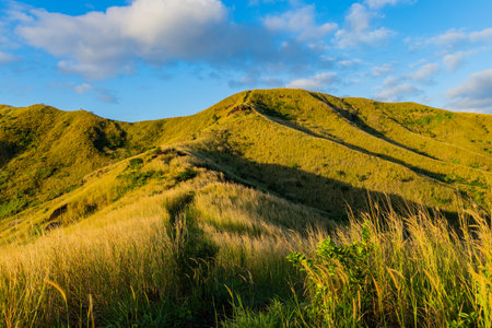 The top of Nacula island vegetation, Yasawa Islands, Fiji, South Pacificの写真素材