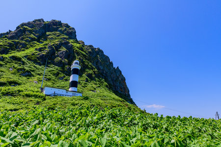 A tranquil summer view of Cape Kamui in Kitami, Hokkaido, Japan. The scene is filled with deep blue skies and vast ocean under brilliant sunlight, capturing the peaceful atmosphereの写真素材