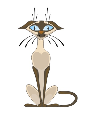 Siamese cat on a white backgroundのイラスト素材