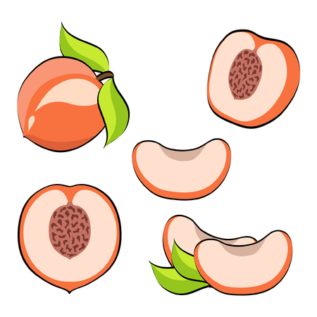 Set of pop art retro comic style vector peach. Pink peaches, whole and cut, isolated on white background, collection of illustrations eps 10のイラスト素材