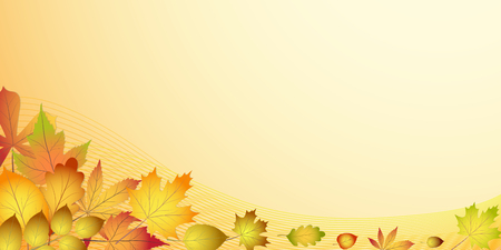 Stock vector banner with colorful red, orange, brown autumn leavesのイラスト素材