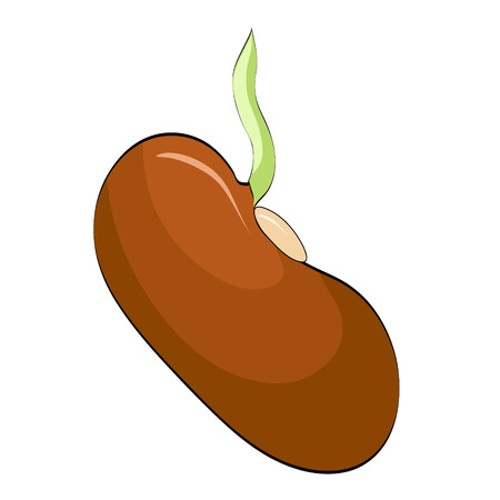Growing plant seed in cartoon style for your design, stock vector illustrationのイラスト素材