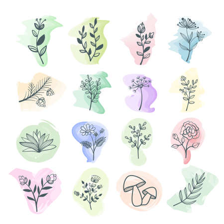Big set of hand drawn floral elements with watercolor background for design, stock vector illustrationのイラスト素材