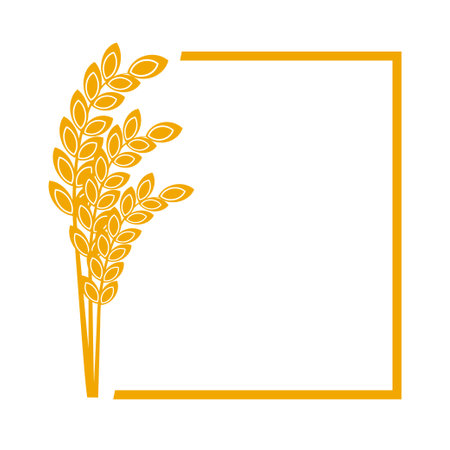 Wheat or barley ears. Harvest wheat grain, growth rice stalk and whole bread grains or field cereal nutritious rye grained agriculture products ear symbol border on whiteのイラスト素材