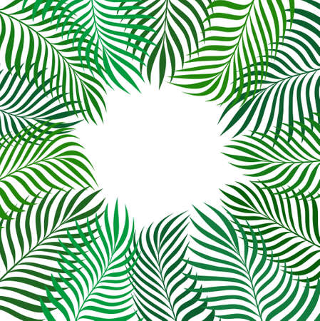 banana palm leaves background pattern for design tropical rest card on white, stock vector illustrationのイラスト素材