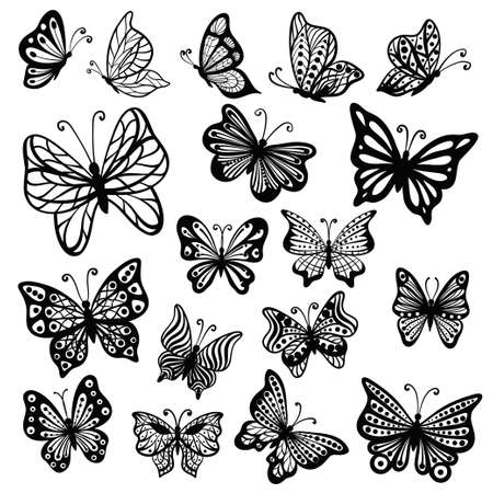 Set of butterfly black hand drawing on white, stock vector illustrationのイラスト素材