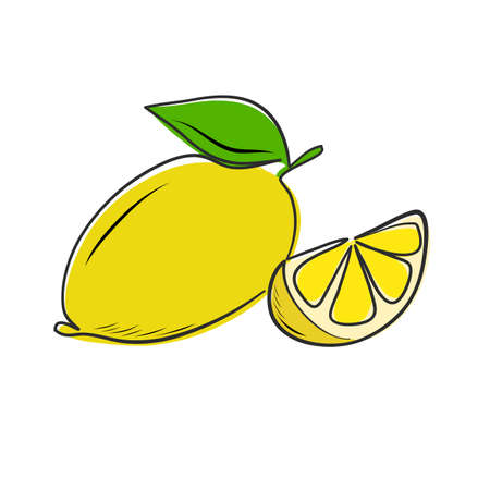 Hand drawn lemon fruit ripe slice one line flat minimal for food designのイラスト素材