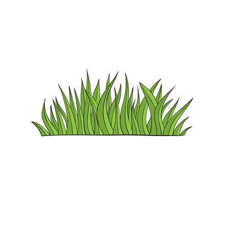 green grass hand drawn for design cartoon styleのイラスト素材