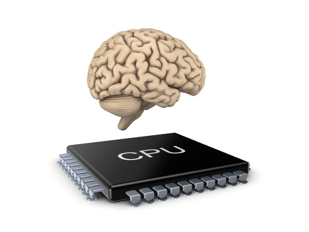 Human brain and microprocessor.Isolated on white background.