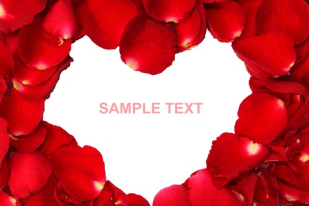 place the rose petals for heart position of picture frame の写真素材