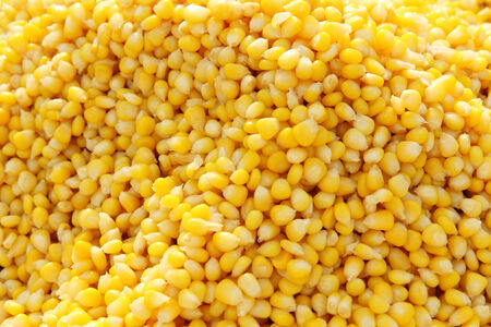 boiled cornの写真素材