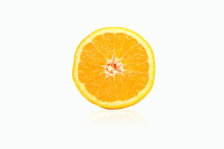 orange on white backgroundの写真素材