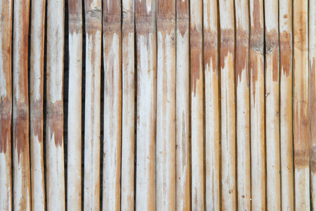 bamboo pattern backgroundの写真素材
