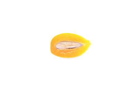 marian plum on white background