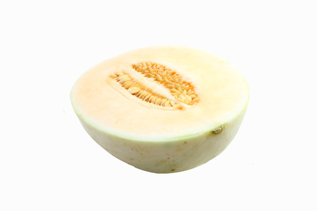 sun lady cantaloupe on white backgroundの写真素材