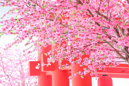 plastic sakura at the shopping mall streetの写真素材
