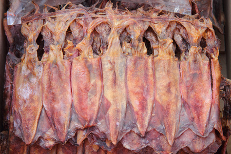 Dried squidの写真素材