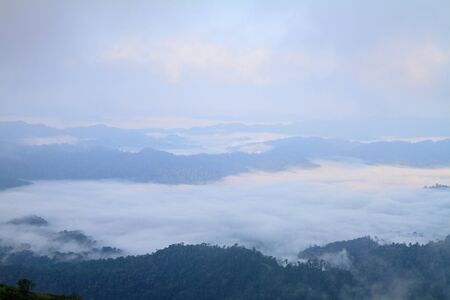 The mist at the mountain in raining morning
