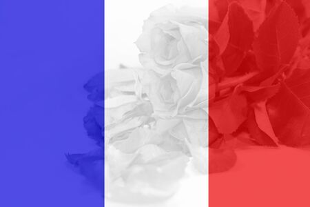 France flag with rose backgroundの写真素材