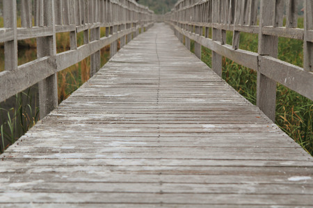 wood walkway around the mountain park
