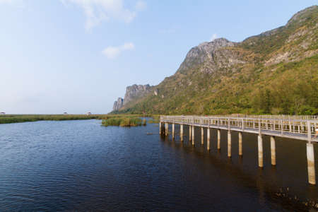 lake view in the park