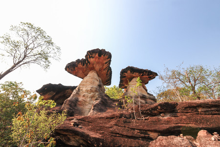Stone pole in the forestの写真素材