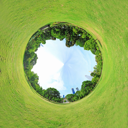 Circle panorama of forestの写真素材