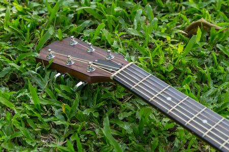headstock of acoustic guitar on grass