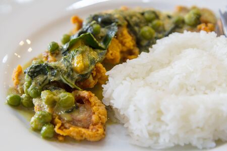 Thai Green Curry with Chicken fried with riceの写真素材