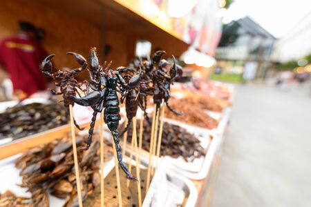 Deep fried Scorpion for eatの写真素材