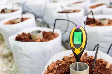Use soil PH meter for check the PH value