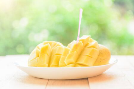 Ripe mango in the white dishの写真素材
