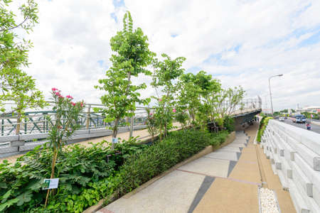 germinate melon Seed on pink clothの写真素材