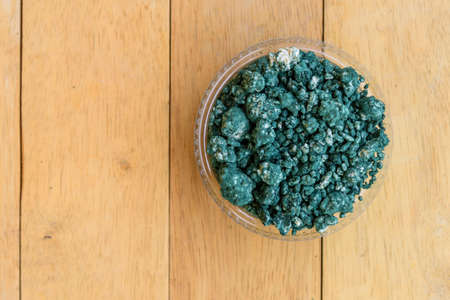 Closeup to Trichoderma harzianum  on table