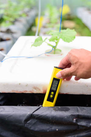 Check pH value of water bin of hydroponics system