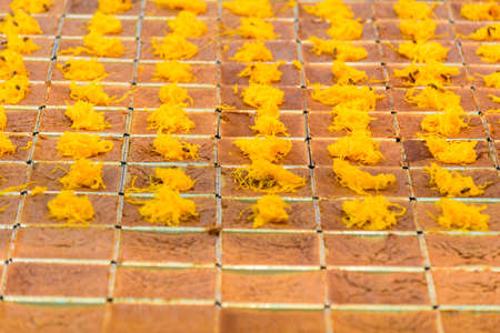 Egg Custard with Mung Bean Flourの写真素材