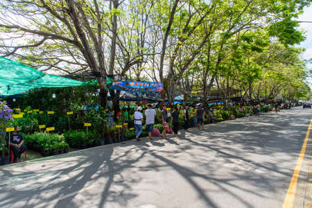 Nakhon Pathom ,Thailand - 2 December, 2020: Tree shop in agricultural fair of Kasetsart Universityのeditorial素材