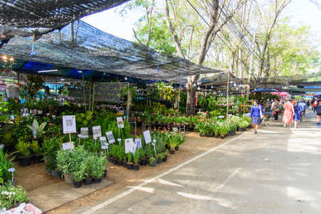 Nakhon Pathom ,Thailand - 2 December, 2020: Tree shop in agricultural fair of Kasetsart Universityのeditorial素材