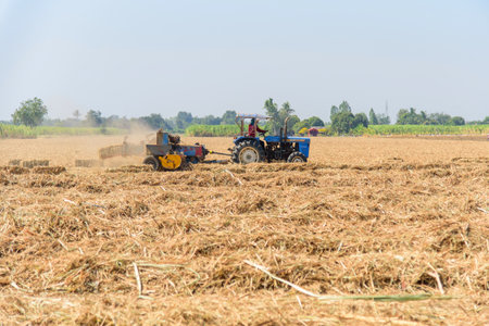 Sugarcane leaf compress by tractor in old sugarcane fieldの写真素材