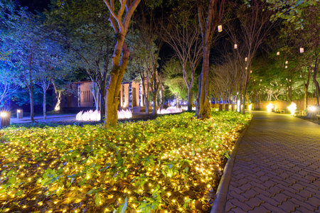 Lighting decorate on the tree in lighting festival showing countdown eventの写真素材
