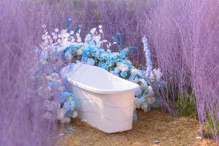 Empty white bathtub in the purple wood parkの写真素材
