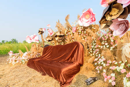 Rachaburi,Thailand - 24 March, 2021: Beautiful colorful Chinese wool Flower farm at Nuanaboon Flower farmのeditorial素材
