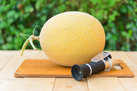 Closeup to Fresh yellow galia melon in dish on wood plateの写真素材